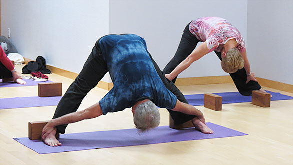 Class Photos | Yoga Center of Santa Rosa